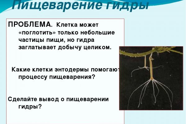 Kraken darknet sliv php