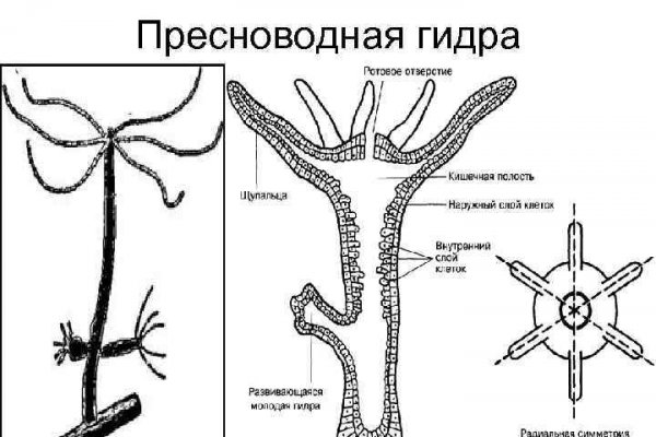 Кракен сайт даркнет ссылка
