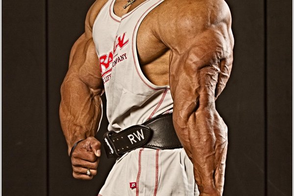 Kraken19 at