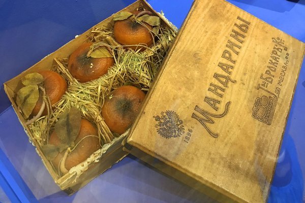 Ссылка кракен сегодня