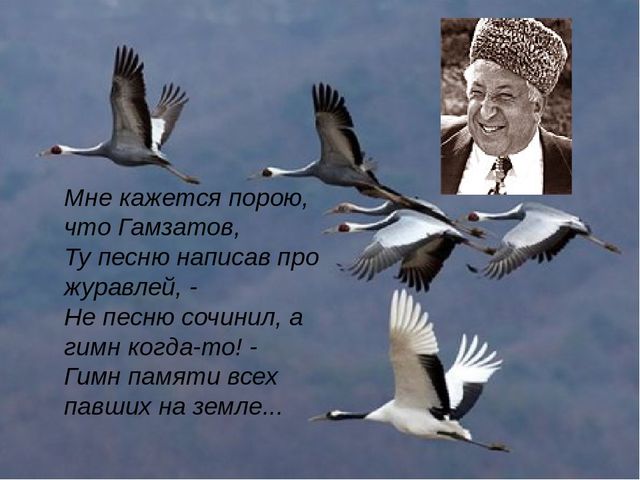Гидра и кракен