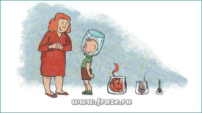 Кракен сыл ссылка