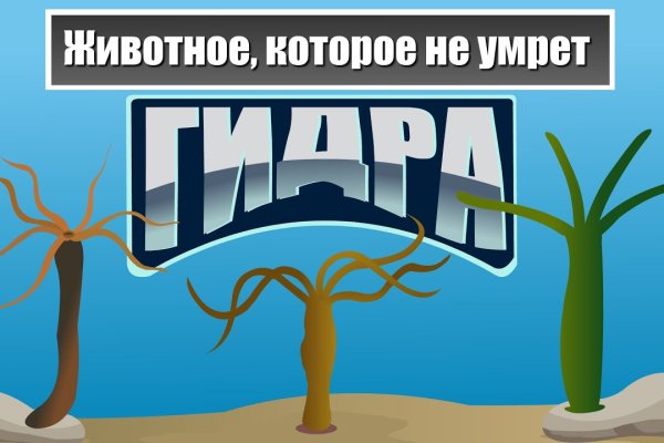 Ссылка на кракен в тор браузере kr2web in