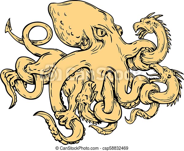Как найти kraken